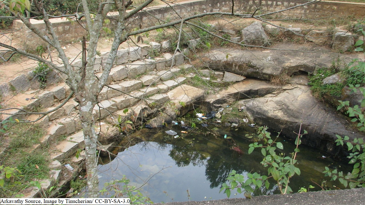 What connects crop choices and the chase for water in the Arkavathy river basin?