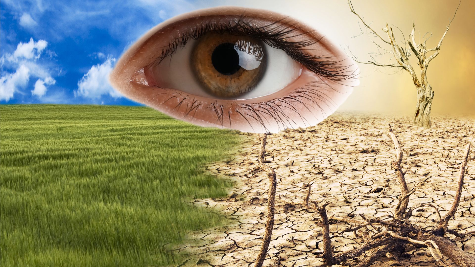 Blinding heat: The ocular toll of climate change