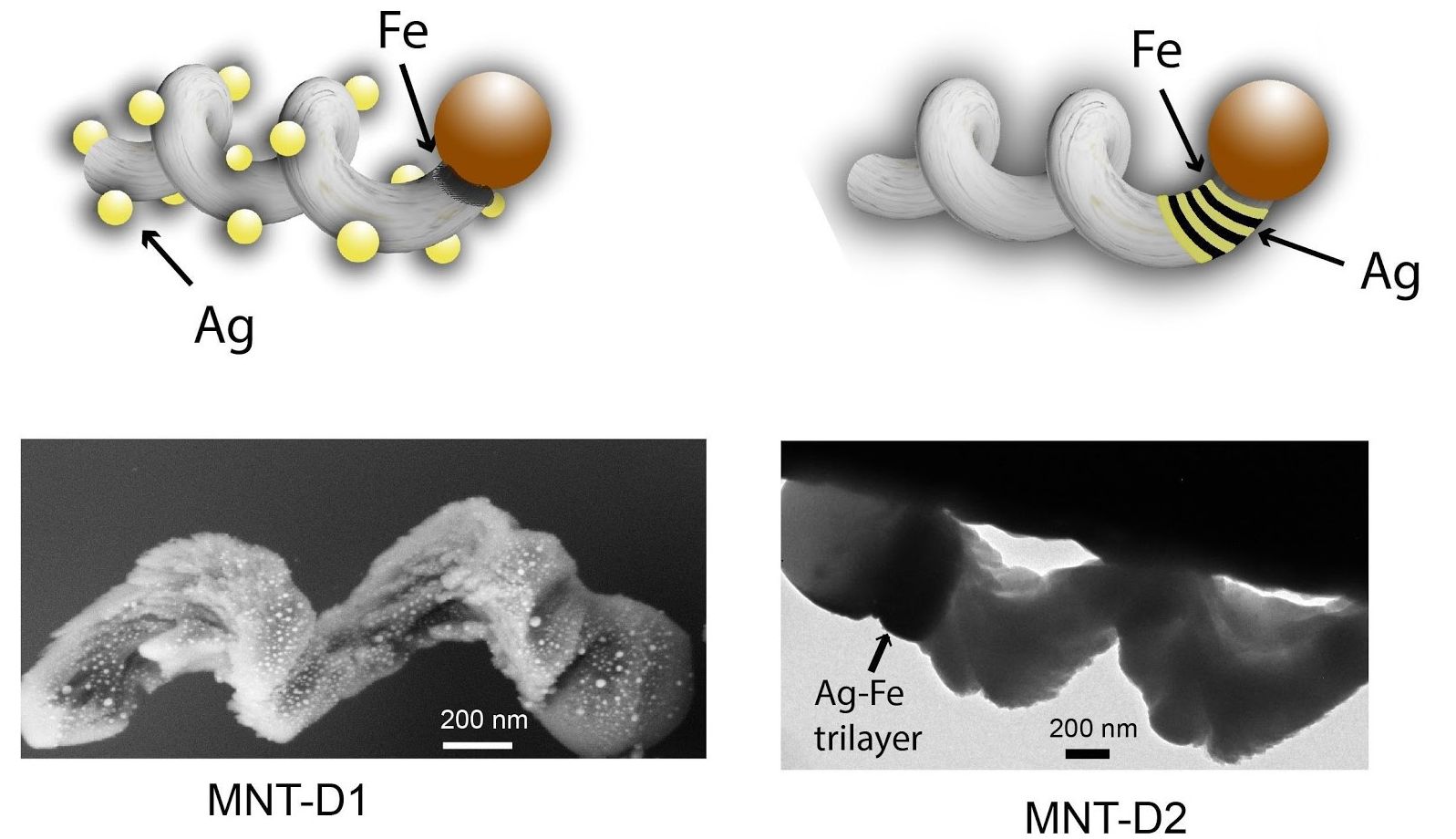 Moving nanoparticles using light and magnetic fields