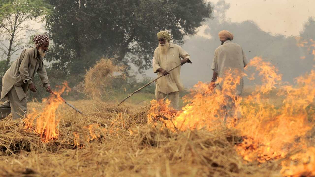 Alternatives to stubble burning not only possible but profitable, shows study