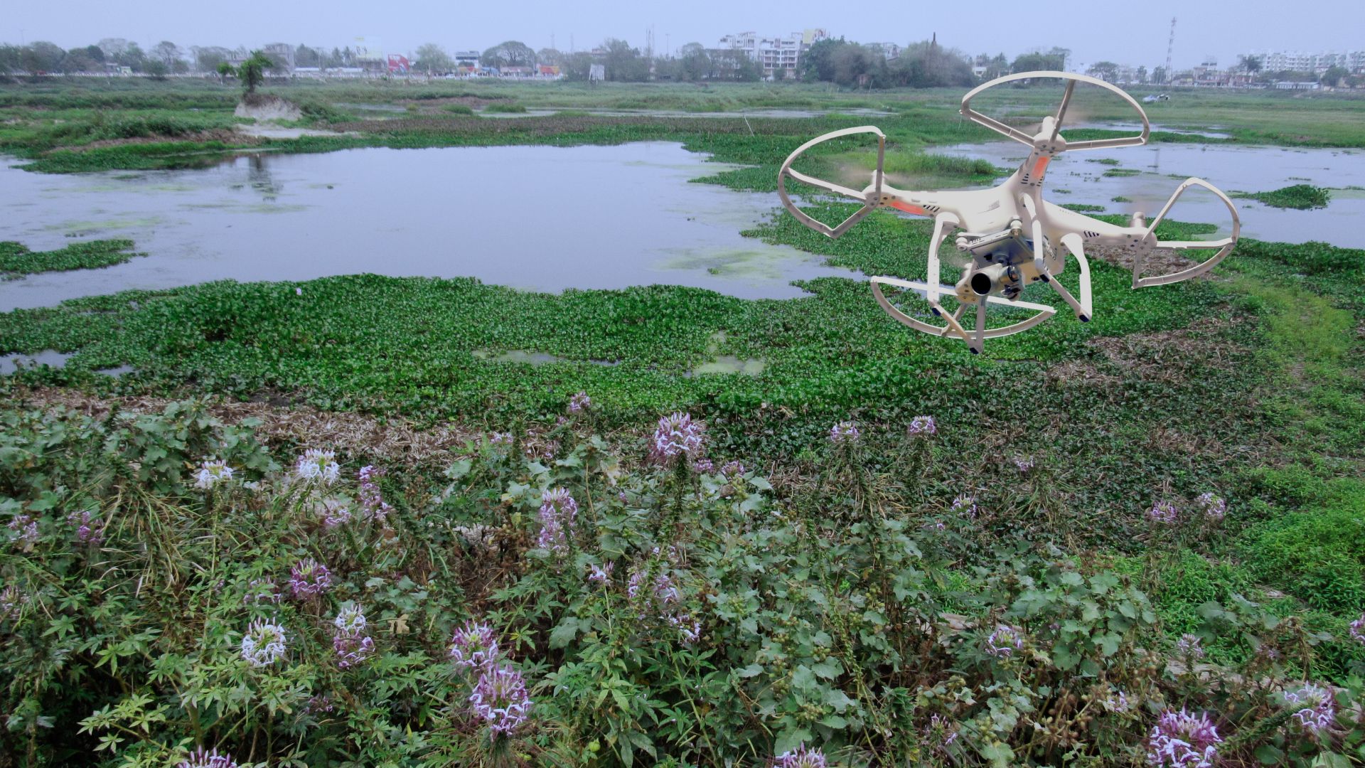 Sky-high botanists: Drones are helping researchers study inaccessible plants