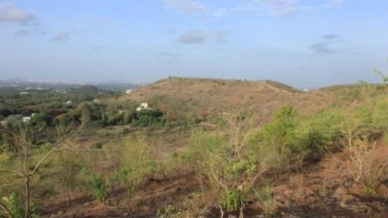 पुण्यातील टेकड्यांचे भविष्य – माळरान की वनराई