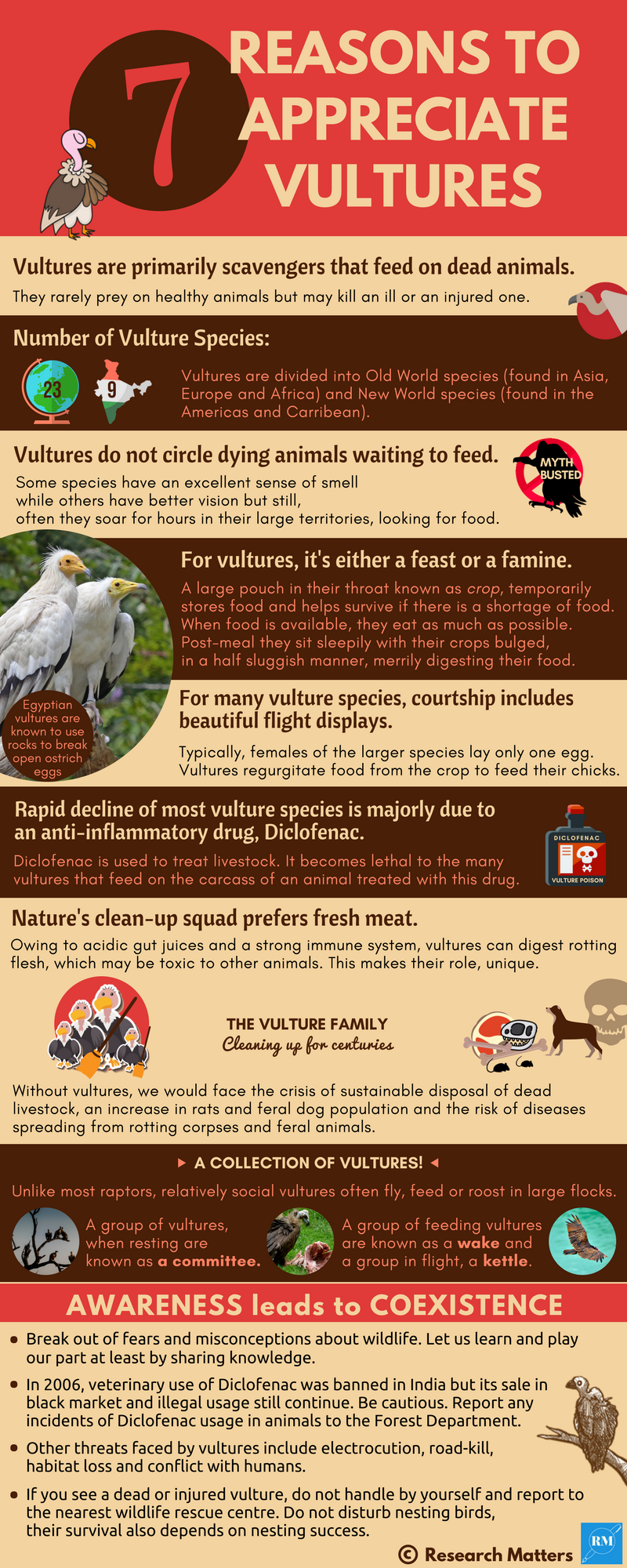 7 reasons to appreciate vultures