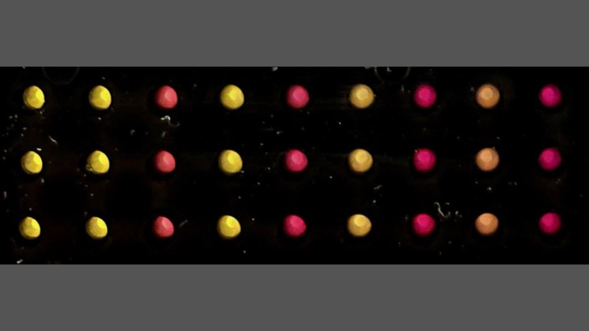 Engineered  RNA-sensor on filter-paper discs that can distinguish between Zika and Coronavirus