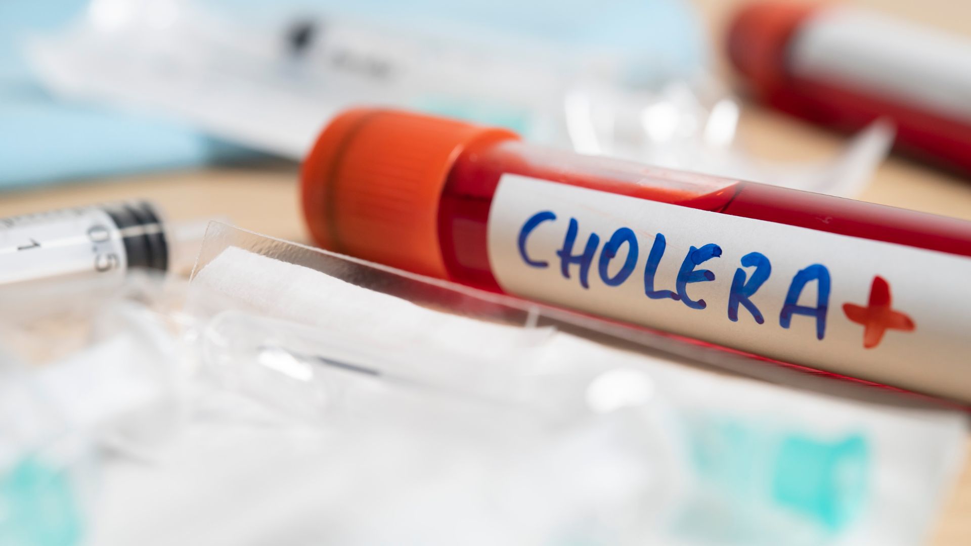 Climate Change Could Trigger Massive Surge in Cholera Cases, Study Warns