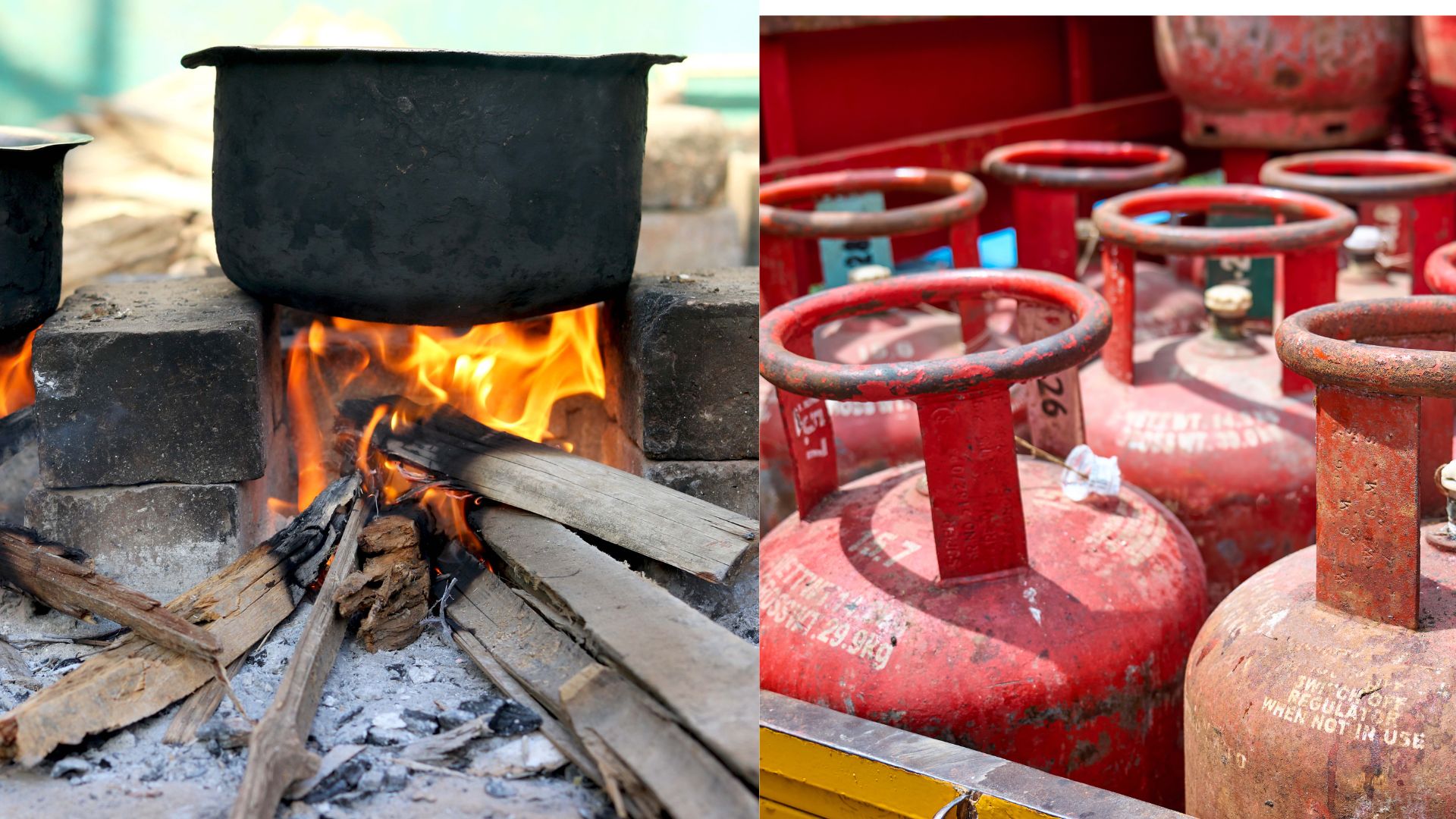 India's Ujjwala Clean Cooking Fuel Initiative Sparks Unexpected Forest Greening