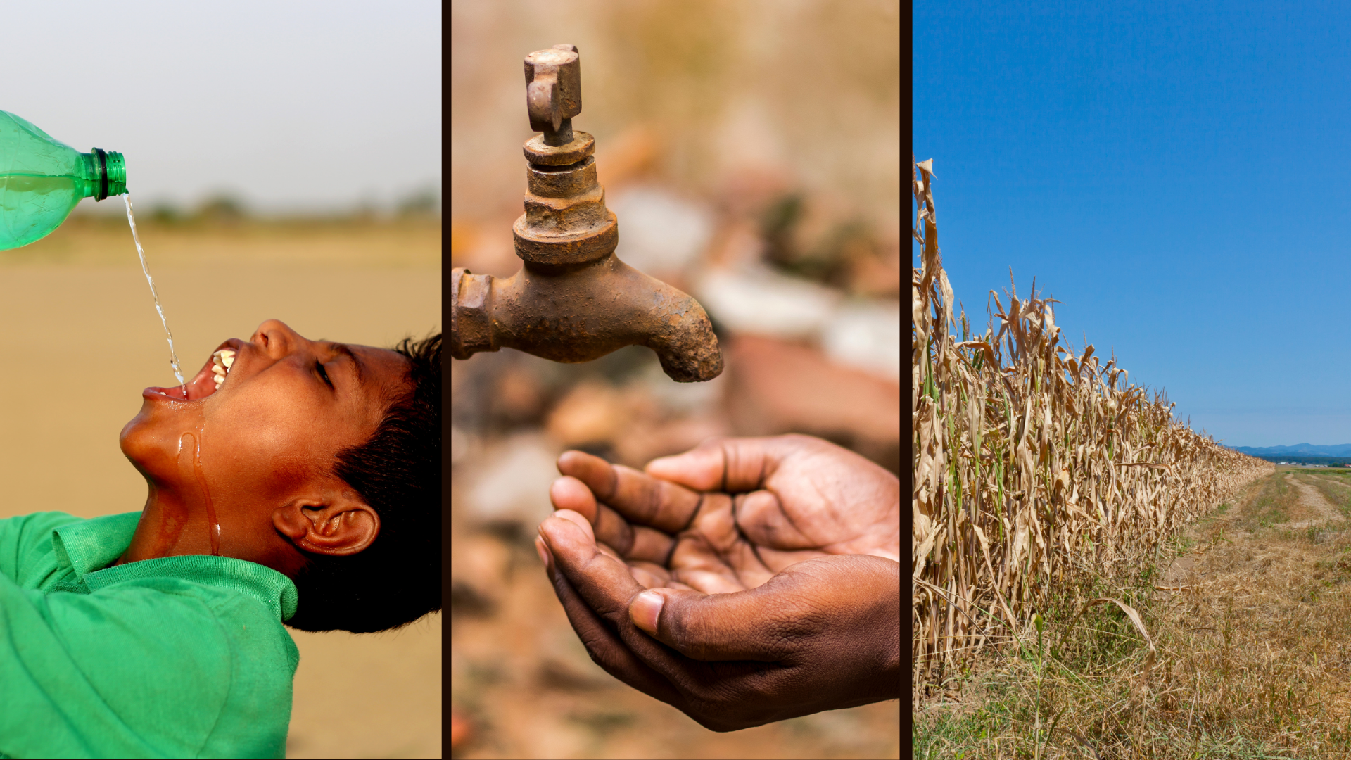 How global weather patterns are shaping India's heatwaves and droughts