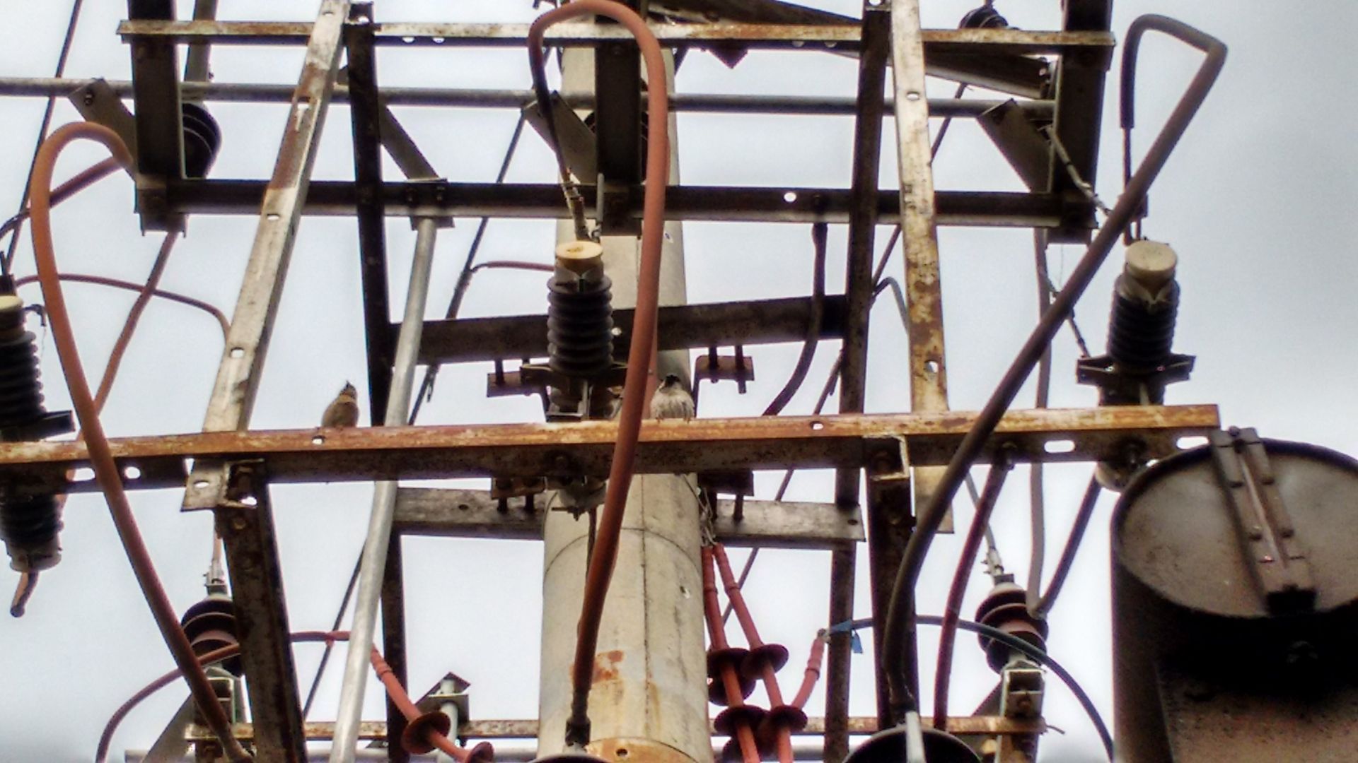 Game theory for efficient electricity usage
