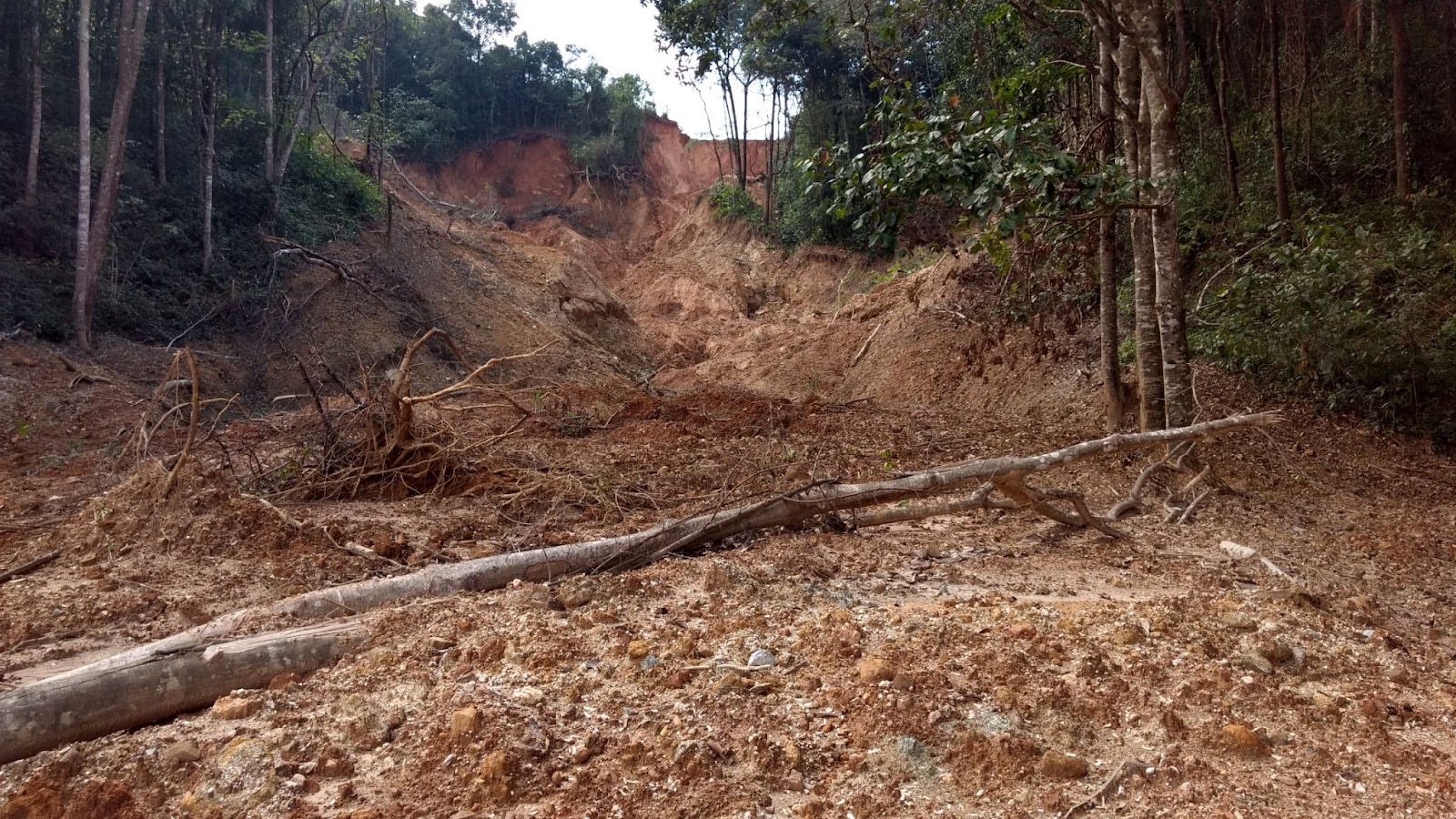 Western Ghats Region at Risk from Rapid Soil Erosion