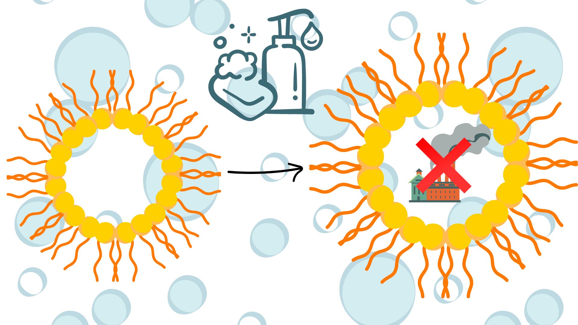 Changing the ‘soap molecule’ surfactin’s tail length changes how it fights pollution, shows study
