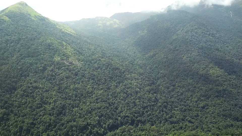 India's new blueprint for sustainable forest management