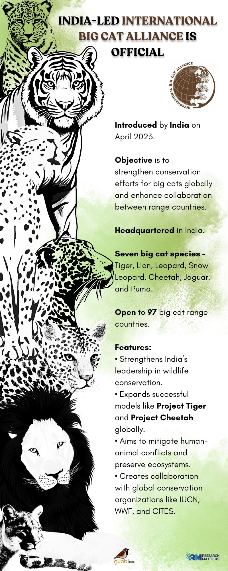 International Big Cat Alliance (IBCA)