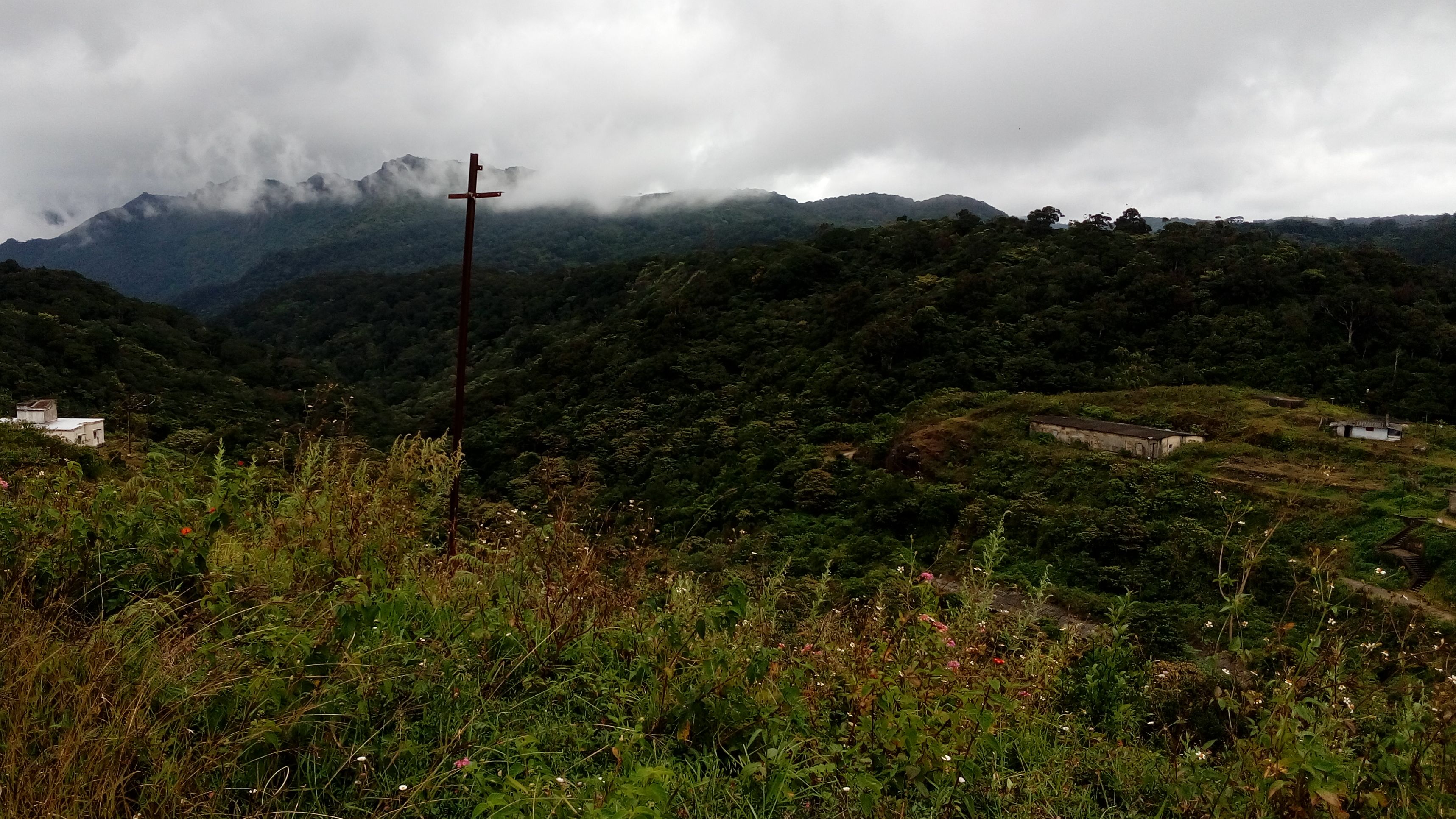 A collaborative take at restoring a wildlife corridor in the Biligiri Rangaswamy Temple Tiger Reserve, Karnataka, India
