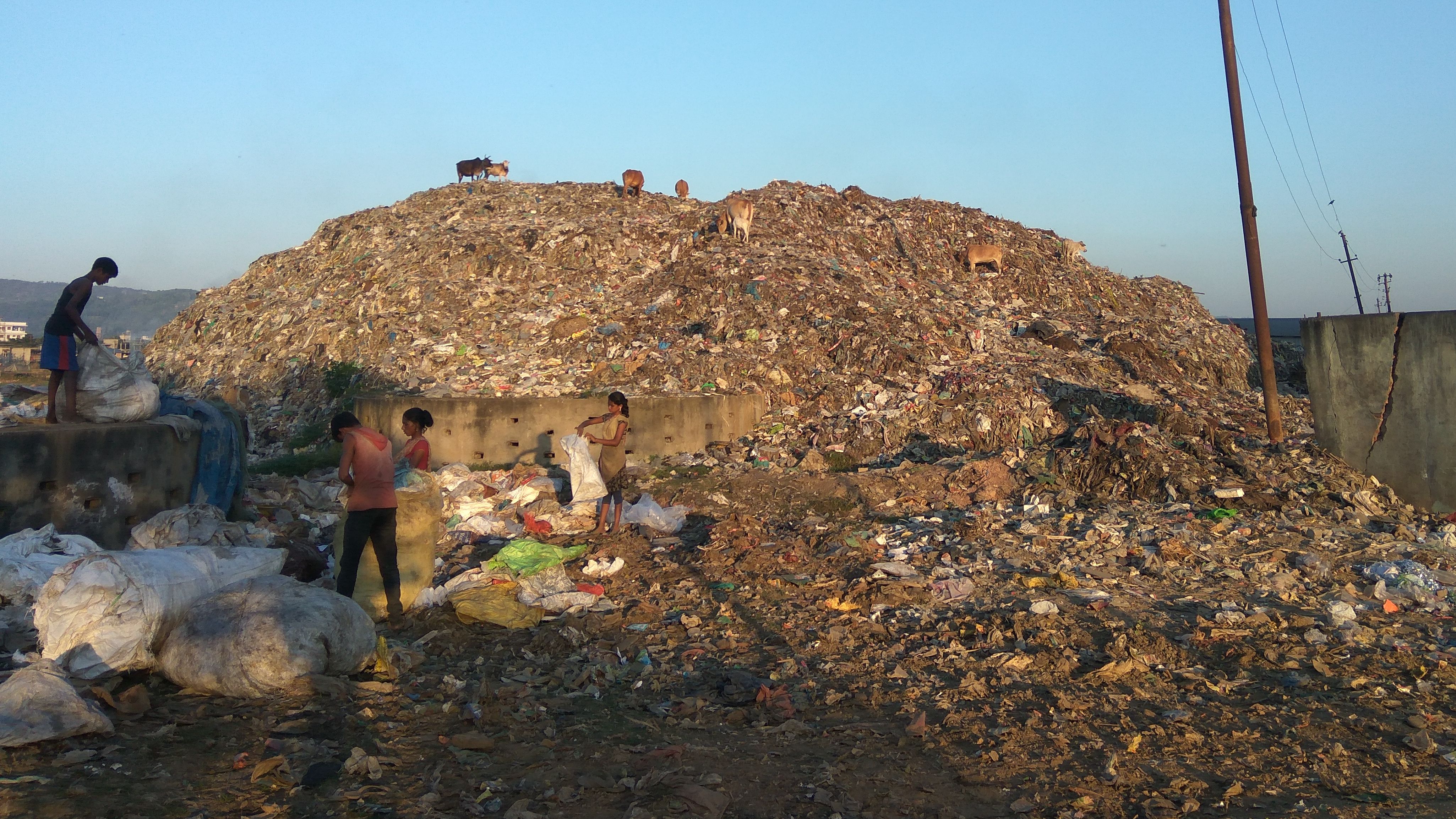 Trash to treasure: A look at the technological options to turn waste to energy