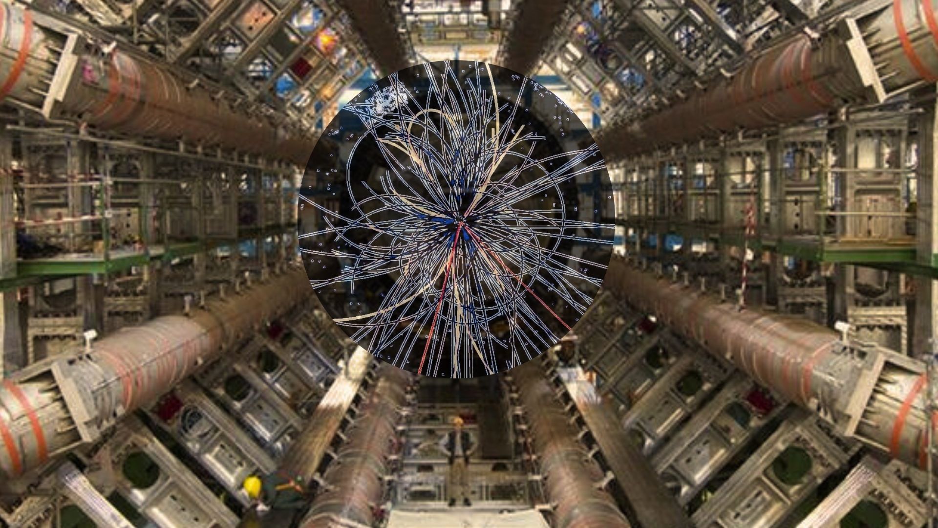 Exotic antimatter spotted in heavy-ion collisions at the LHC