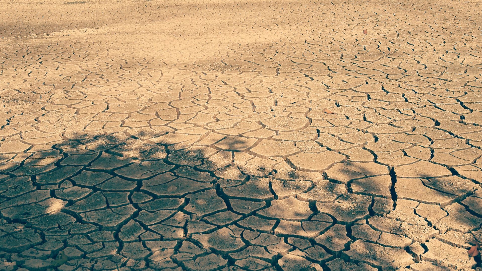 Satellite Eyes Reveal India's Scarred Lands in India's Dry Regions