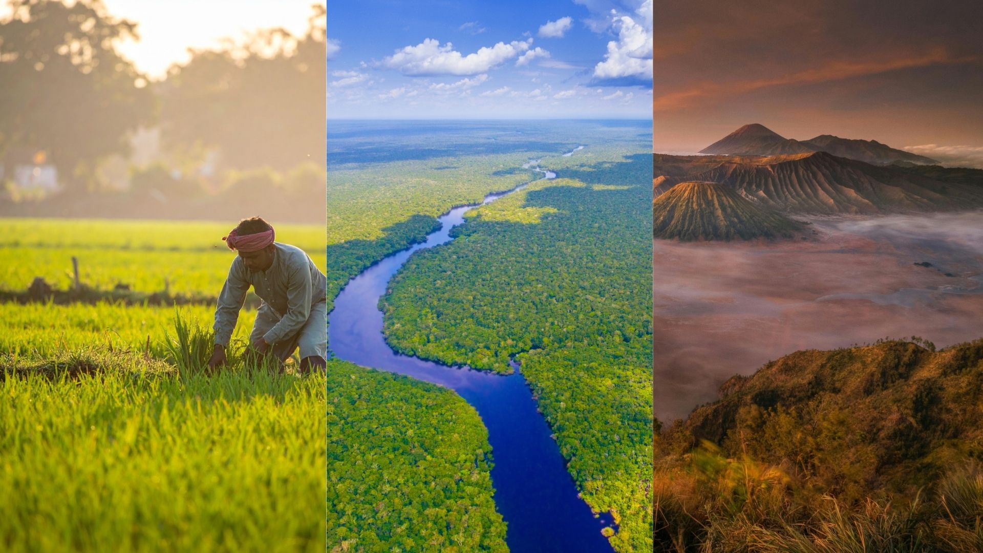 The climate solution for India, Brazil, and Indonesia: Change farms and forest-use, not diets