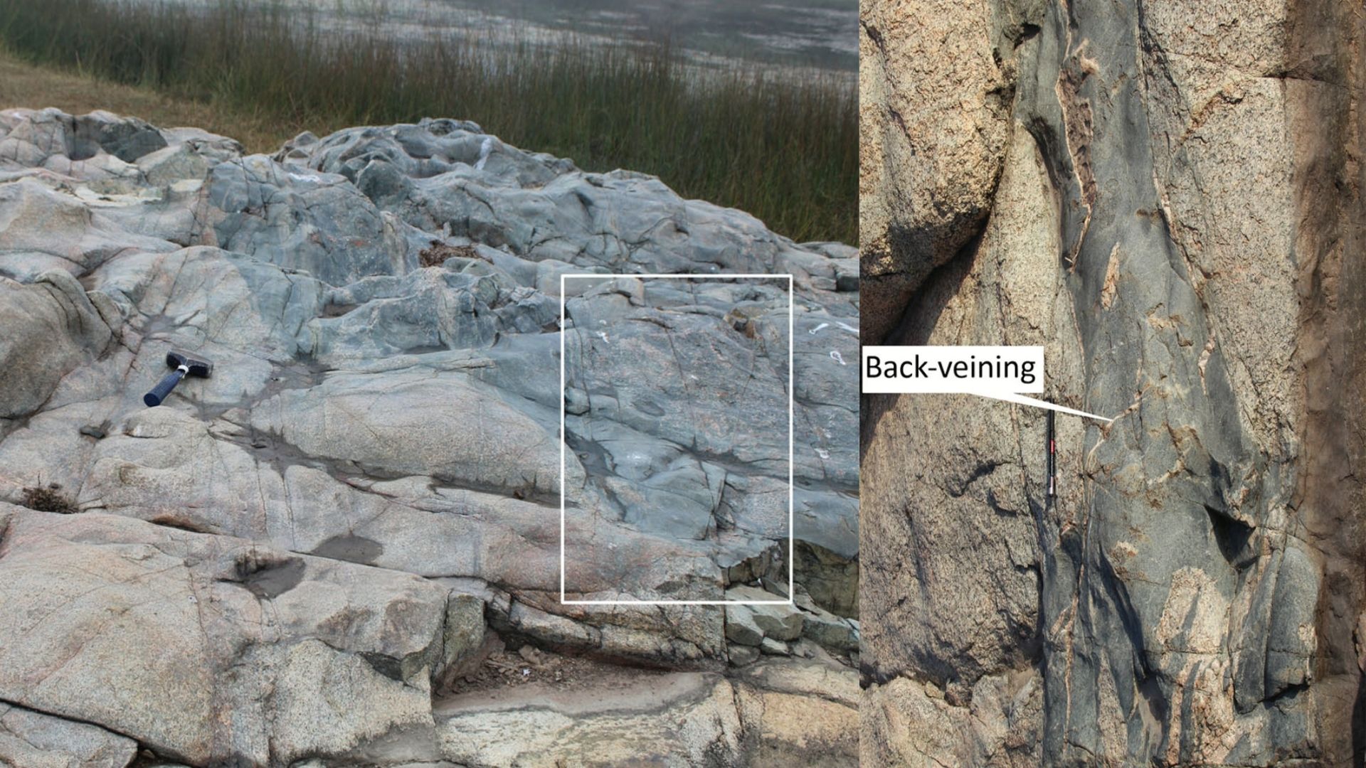 The molten history of the Aravalli Mountains: How two magmas built India’s oldest rocks