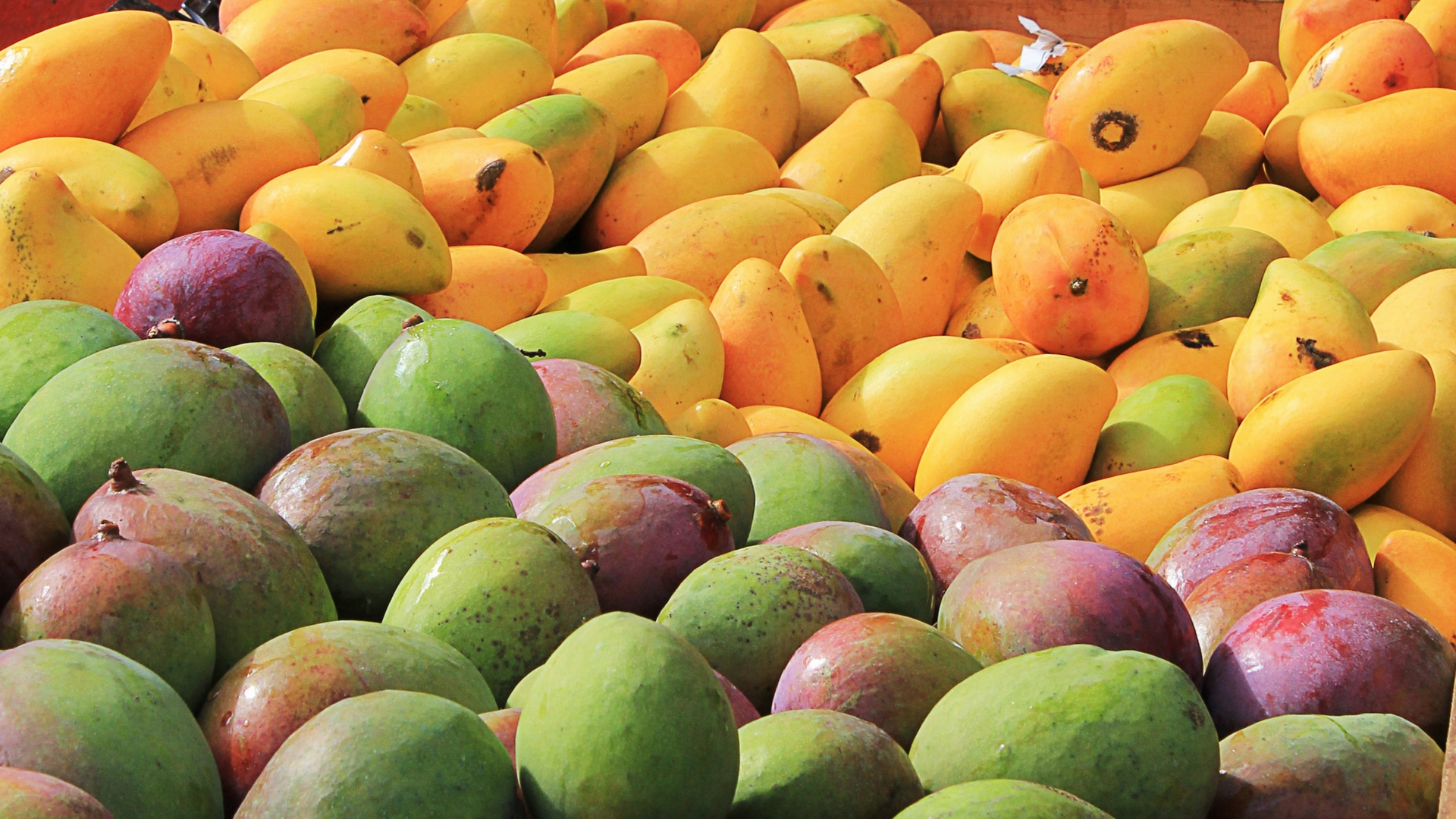 Want to store that delicious mango pulp longer? Scientists may have a solution.
