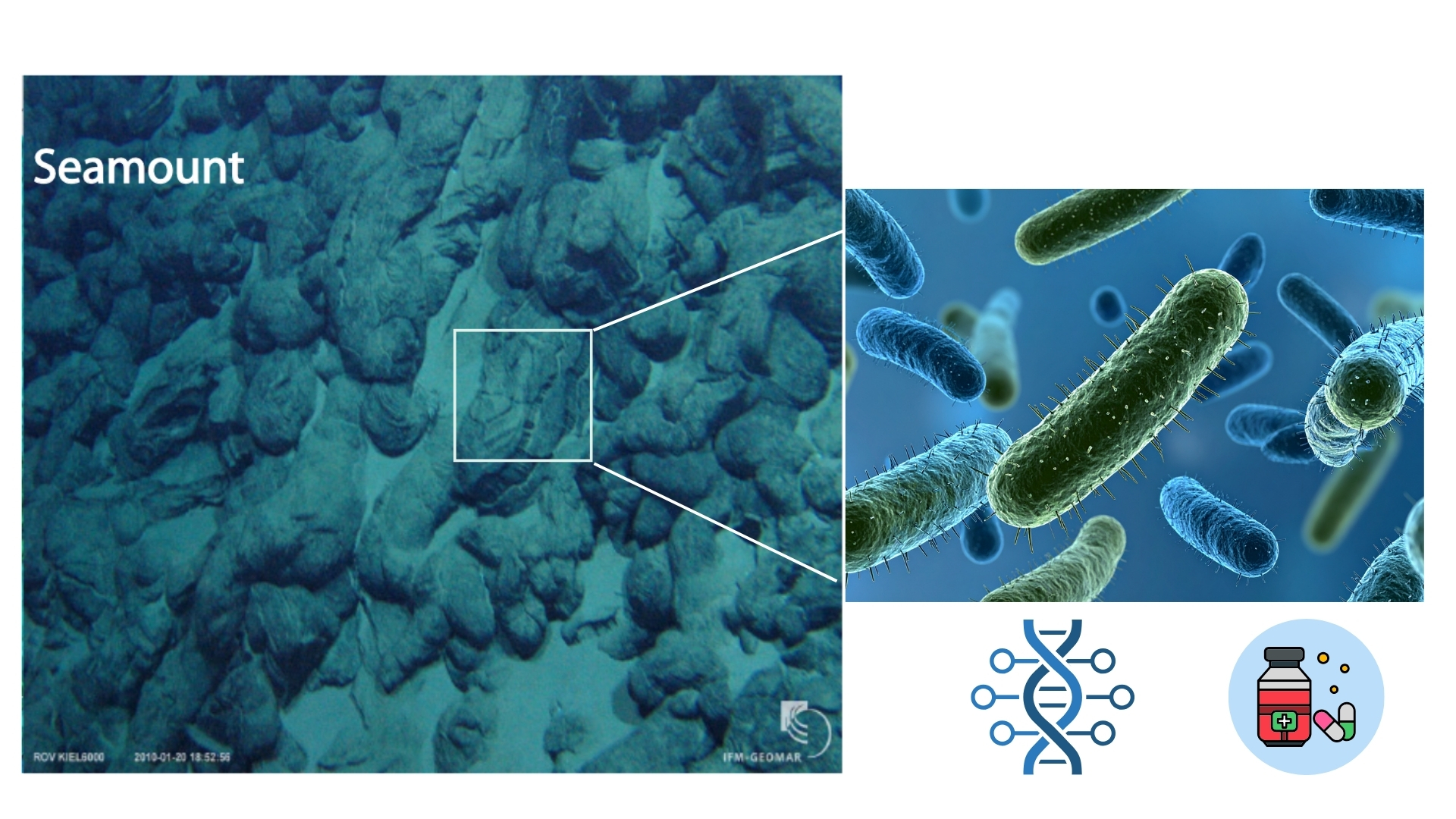 Scientists find antimicrobial-resistant genes on deep-sea mountains in the Arabian Sea