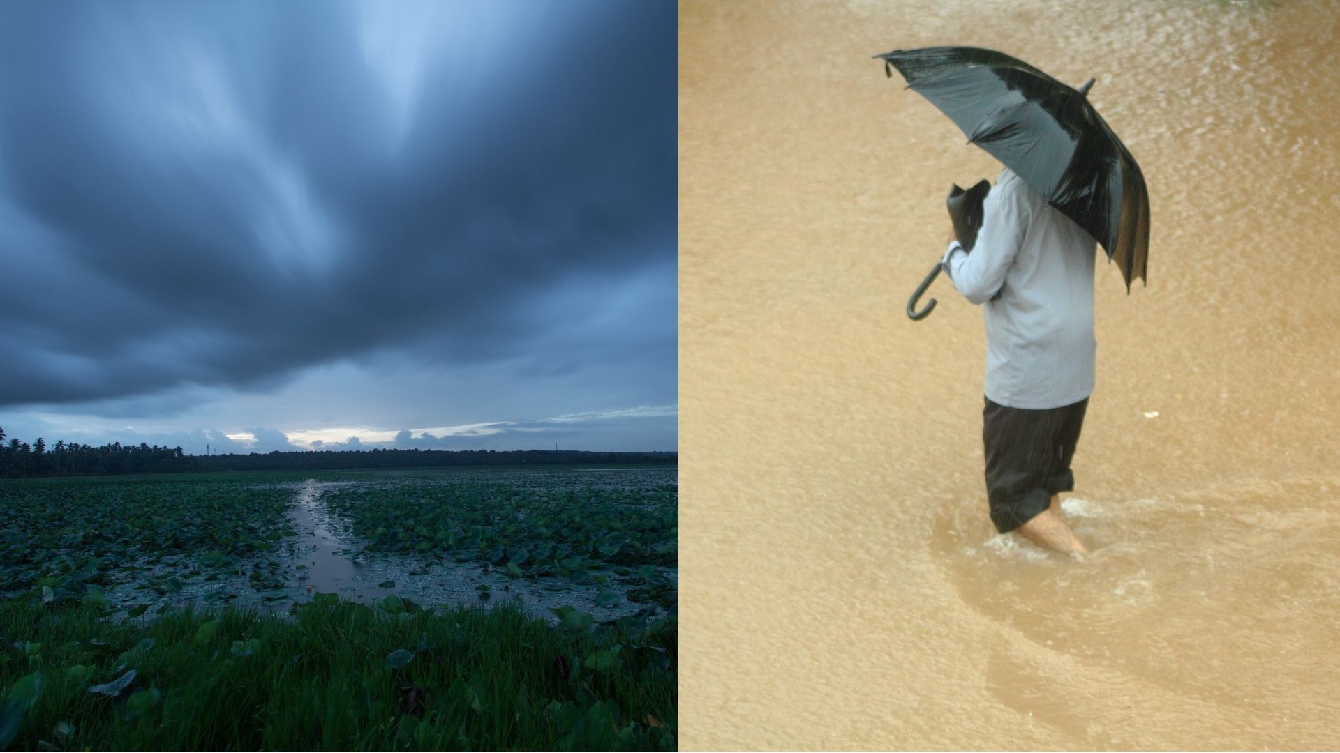 IMD develops a novel machine-learning-based tool to predict urban rainfall trends in India
