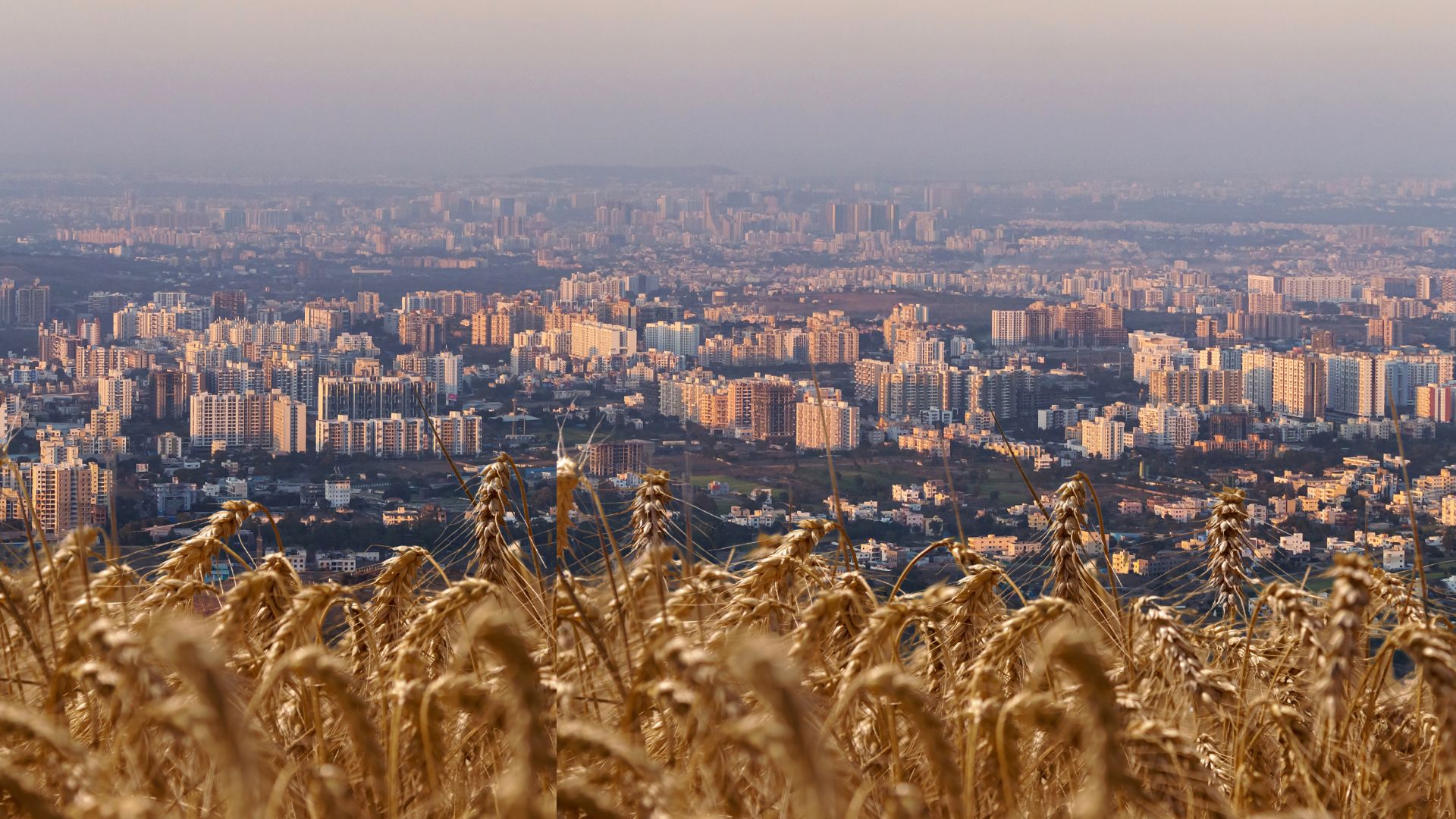 Crop stress-maps reveal where farming is toughest in Pune