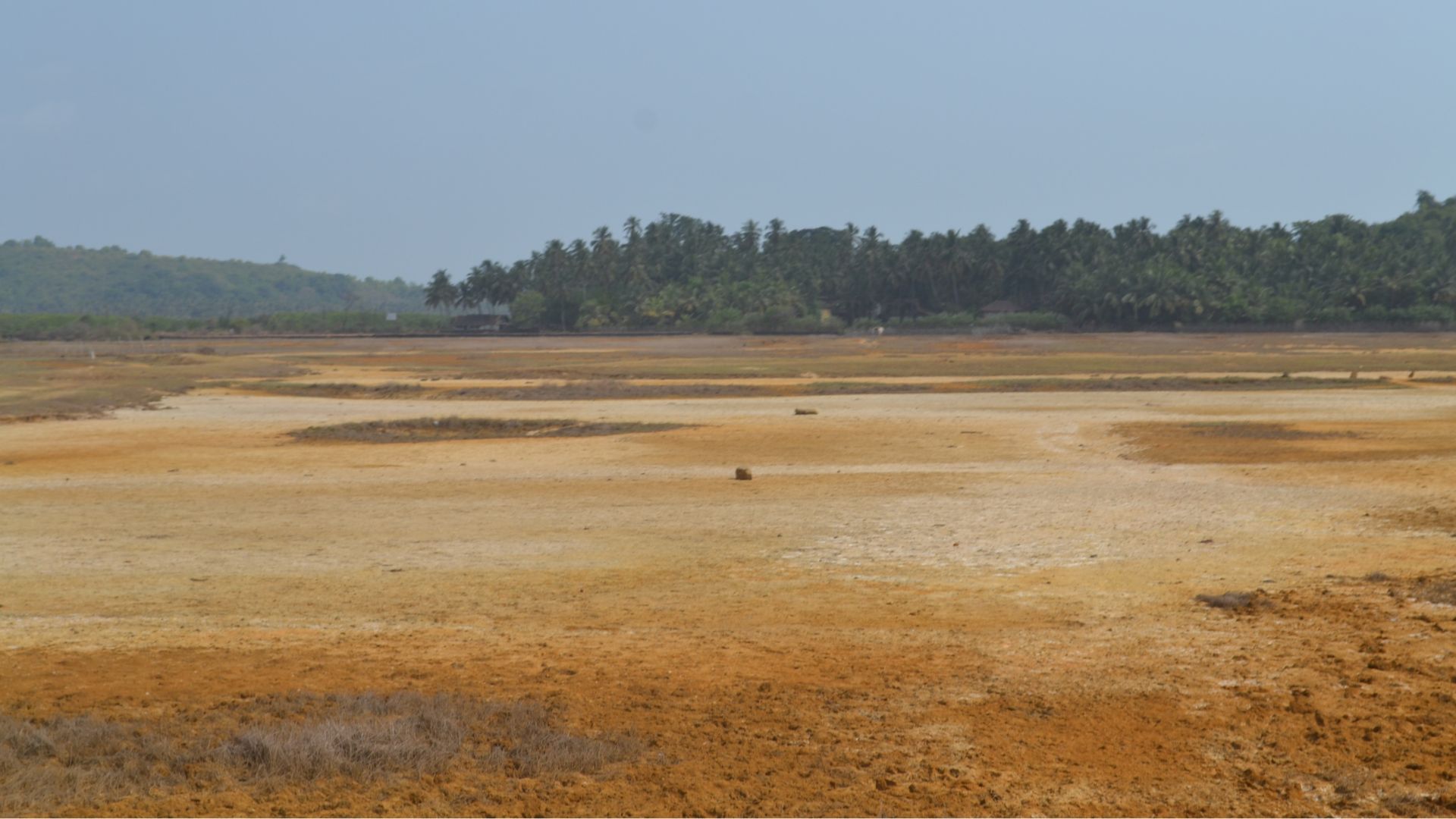 Kerala coast experiment shows how to protect underground aquifers from seawater intrusion