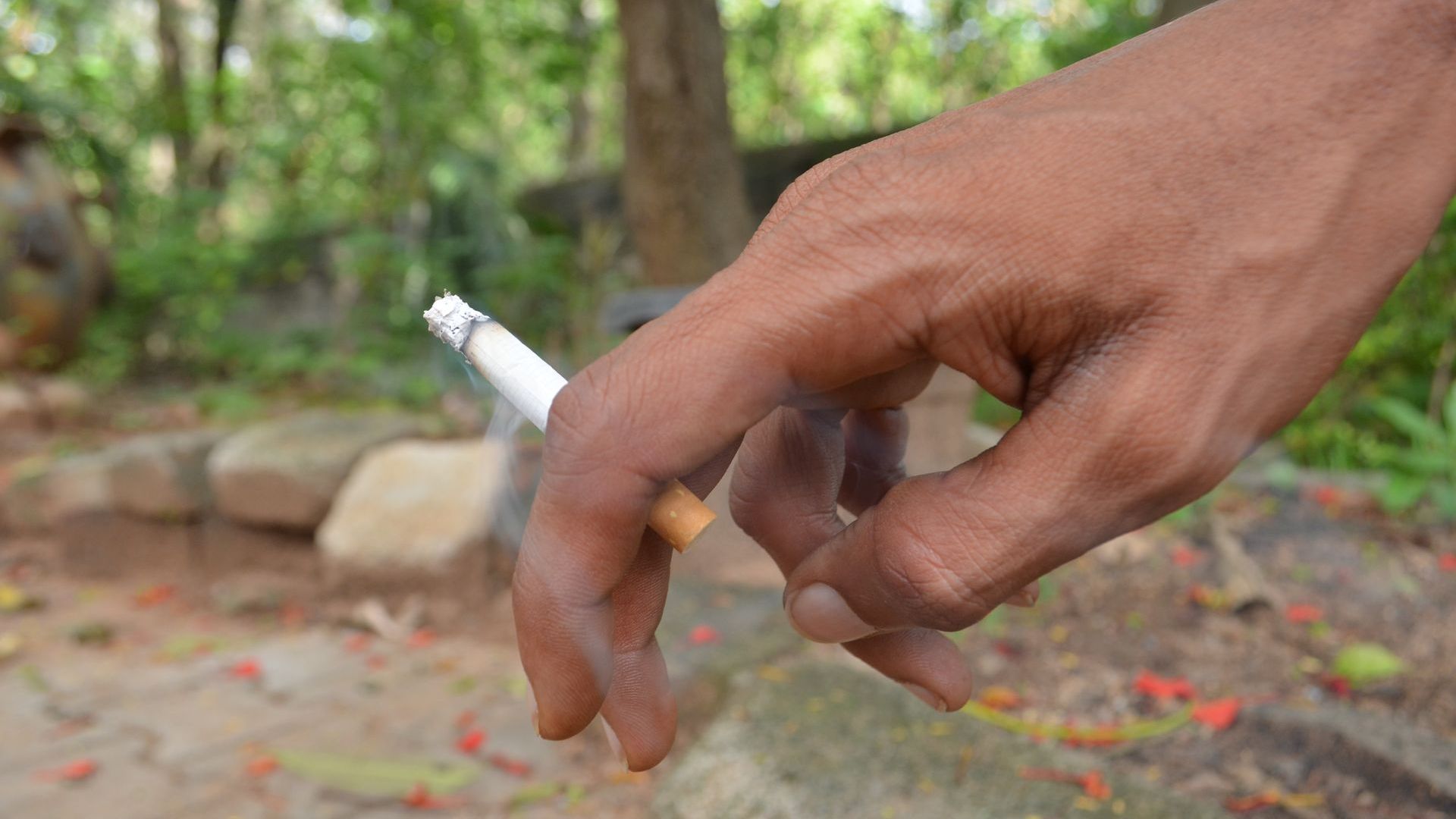 Study reveals shocking numbers about worldwide smoking trends