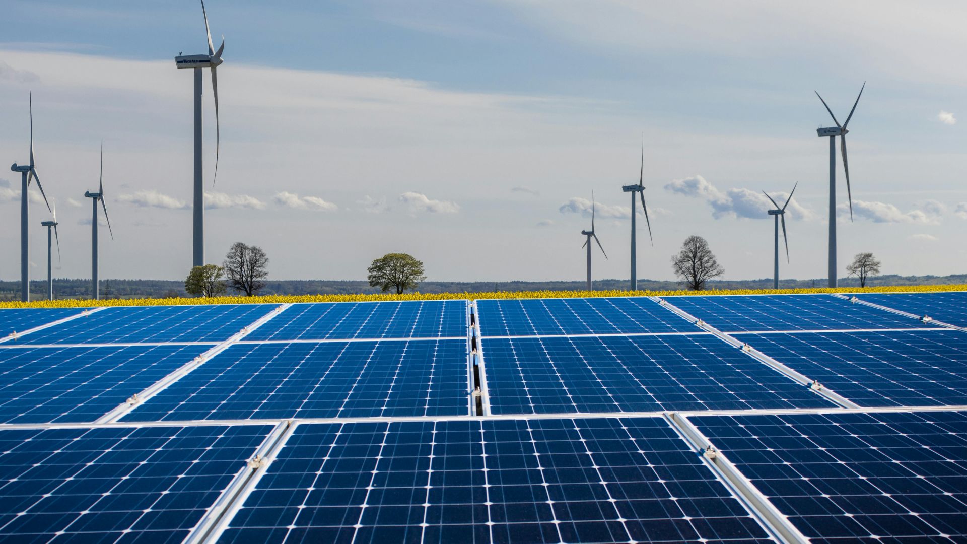 Regional coordination and phased storage growth are crucial for India's renewable energy transition