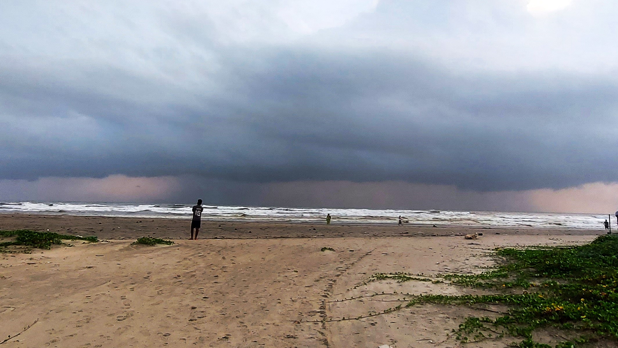 Scientists link marine heatwaves to rising cyclone risks