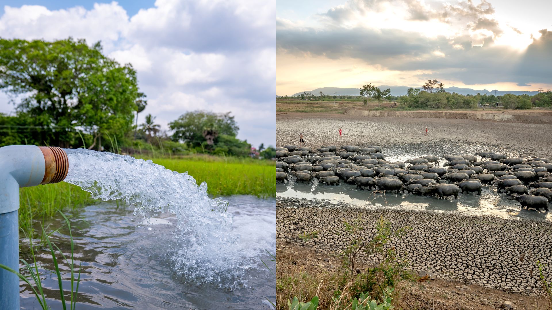Temperature shocks are increasing water poverty among households, finds new study