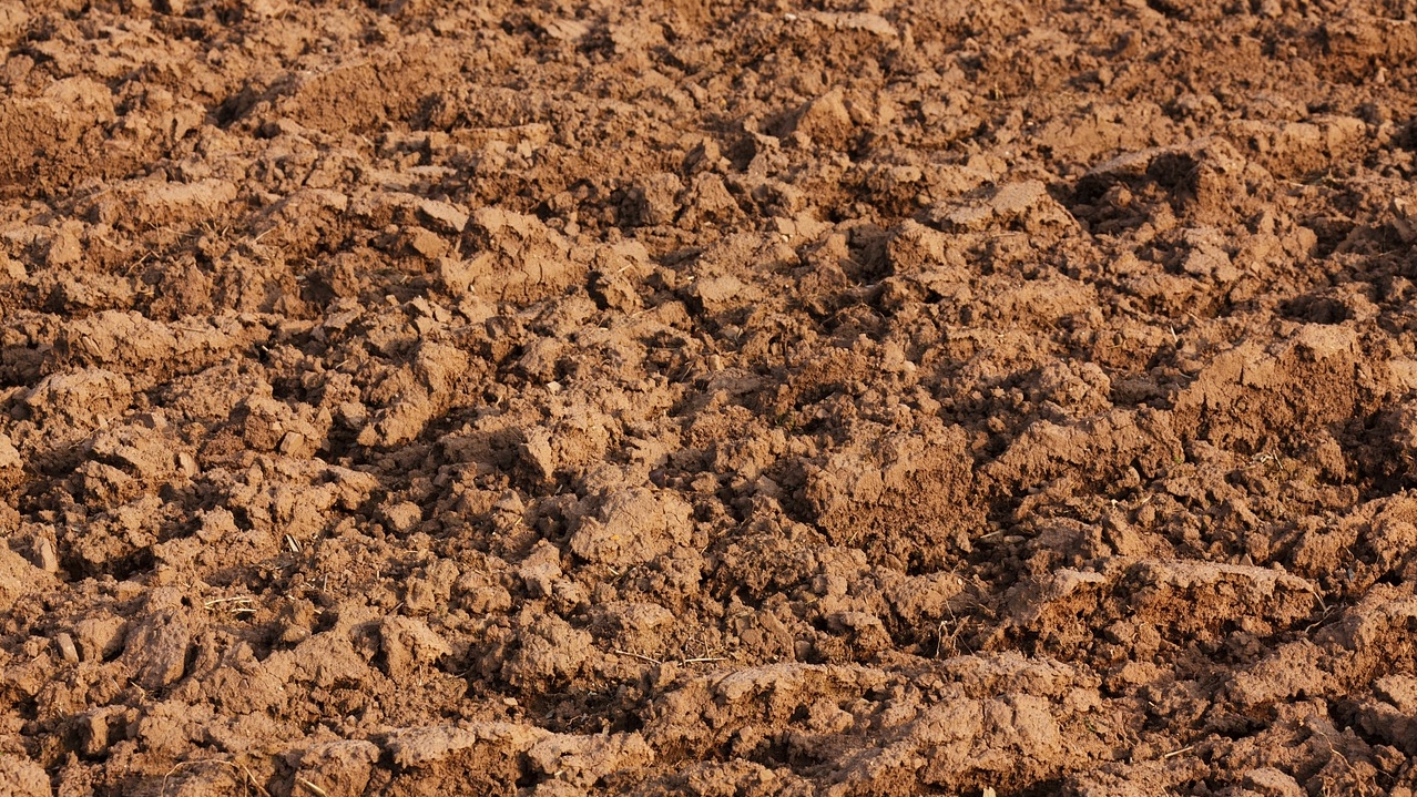 Scientists find evidence of microbial life hidden thousands of metres below the Earth