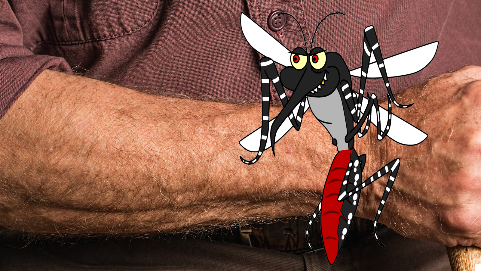 How you are the chosen one for a mosquito bite