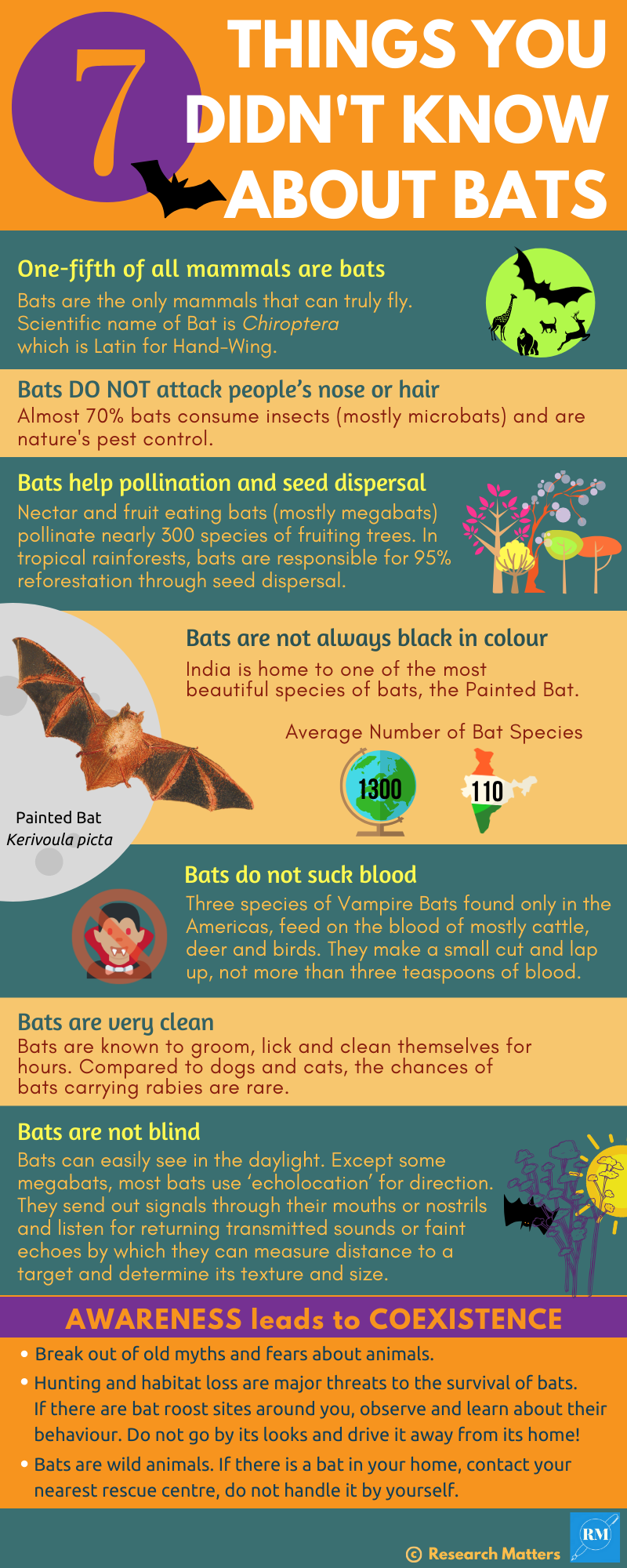 7 Things you didn't know about bats