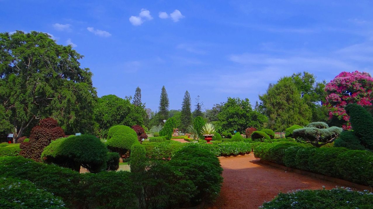 Bengaluru’s parks brim with birds and butterflies, finds study