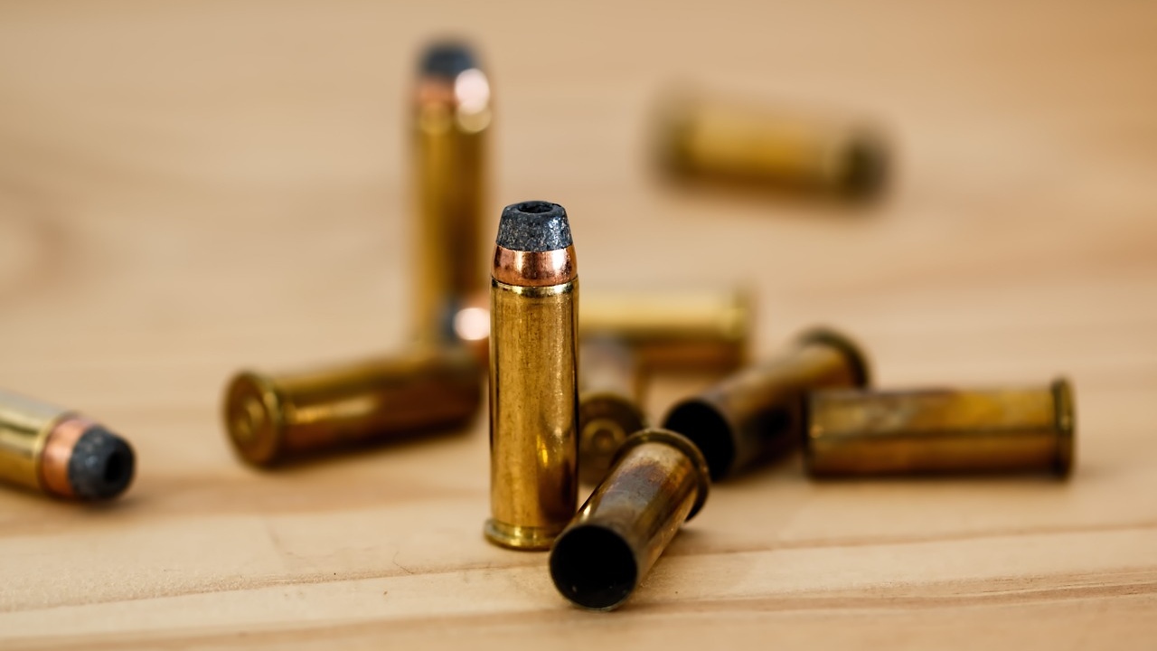 How many lives have the bullets wiped out? Study finds out