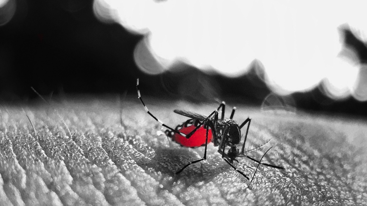 Community-based cohort studies may hold the key to tackling dengue infections