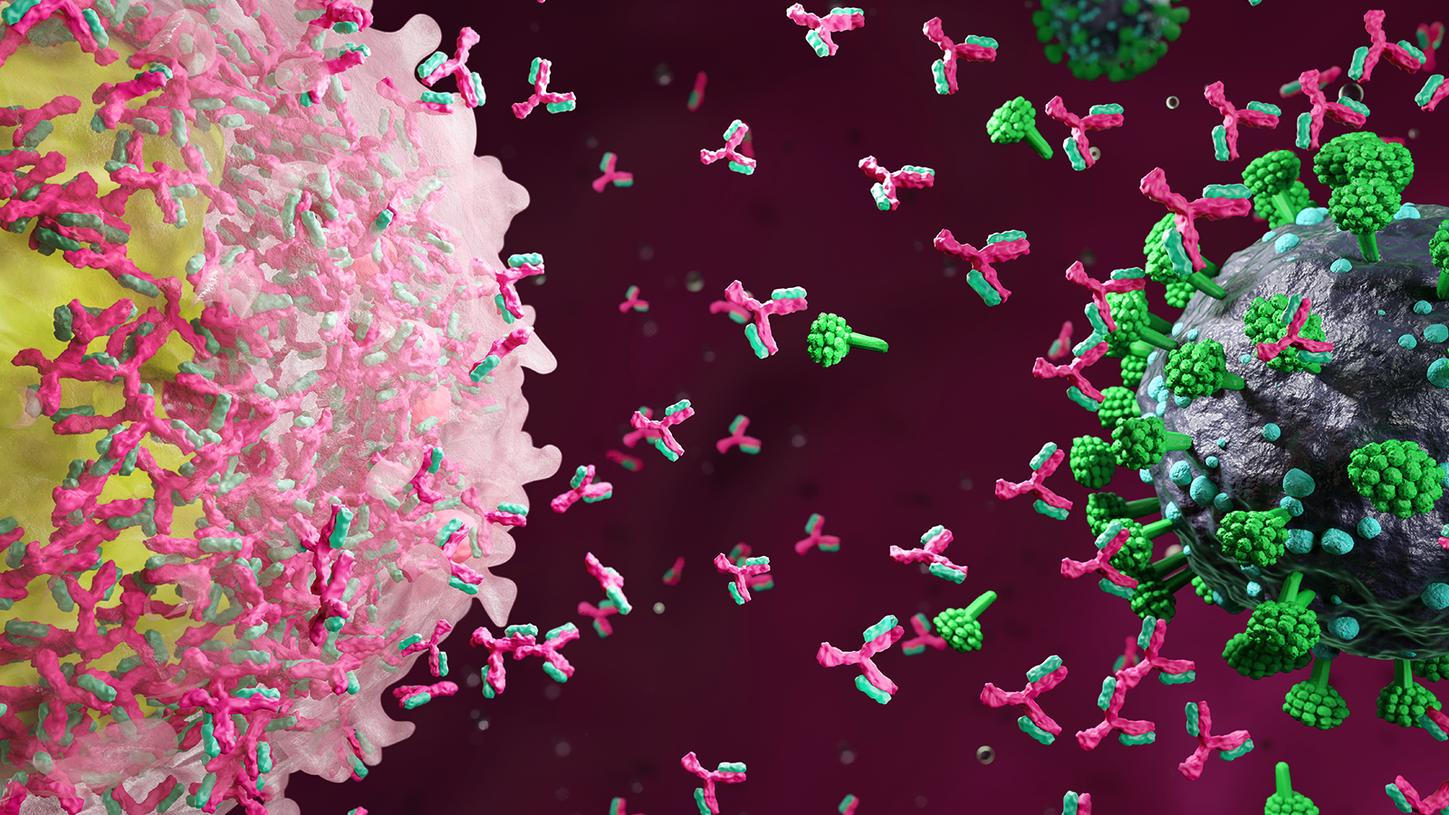 CAR-T cell therapy for cancer cure