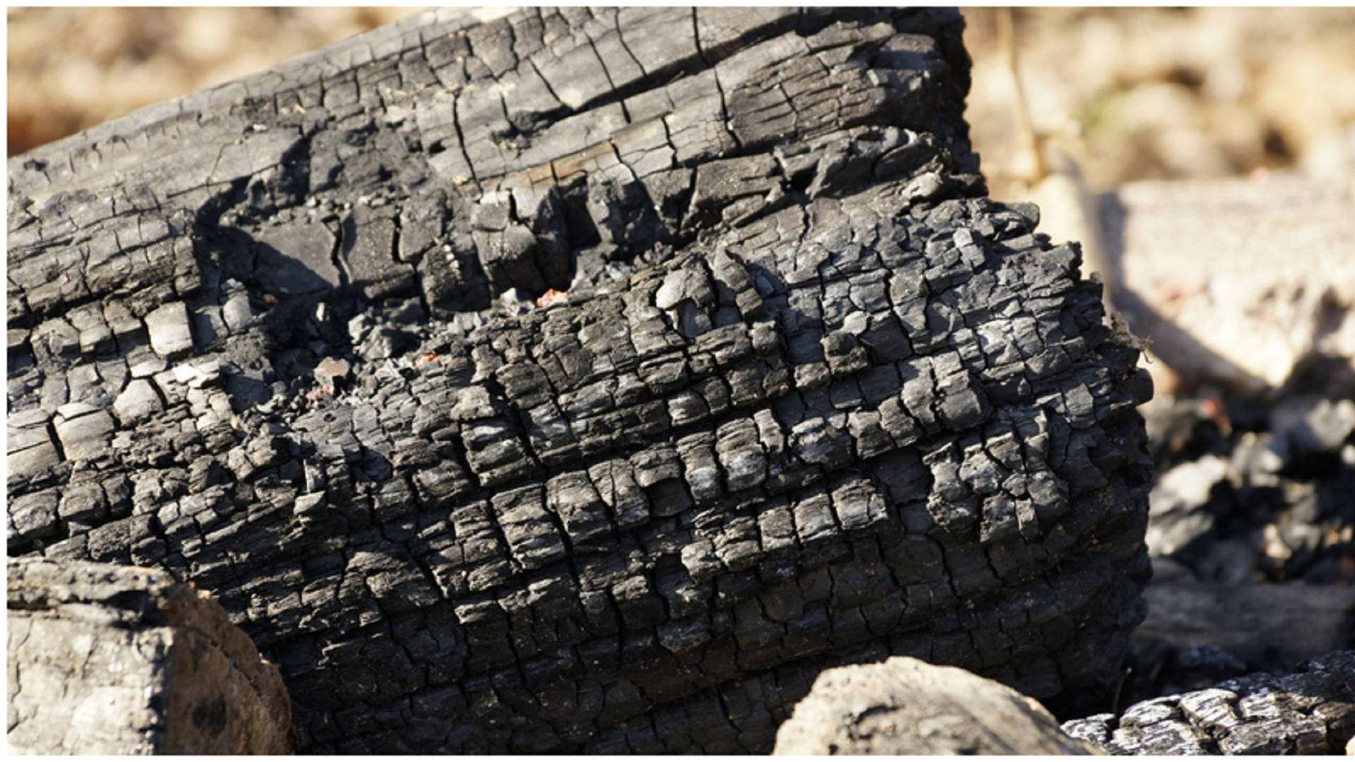Charcoal could improve soil deteriorated by insecticides, shows ICAR study.
