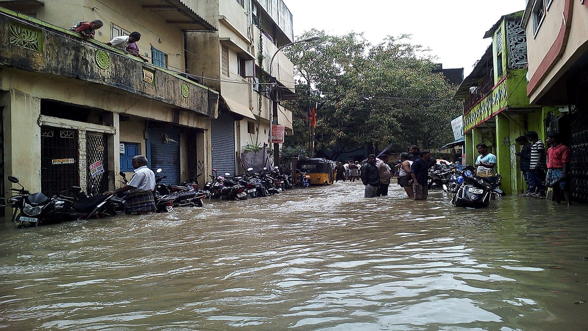 Fighting floods the 'expert' way
