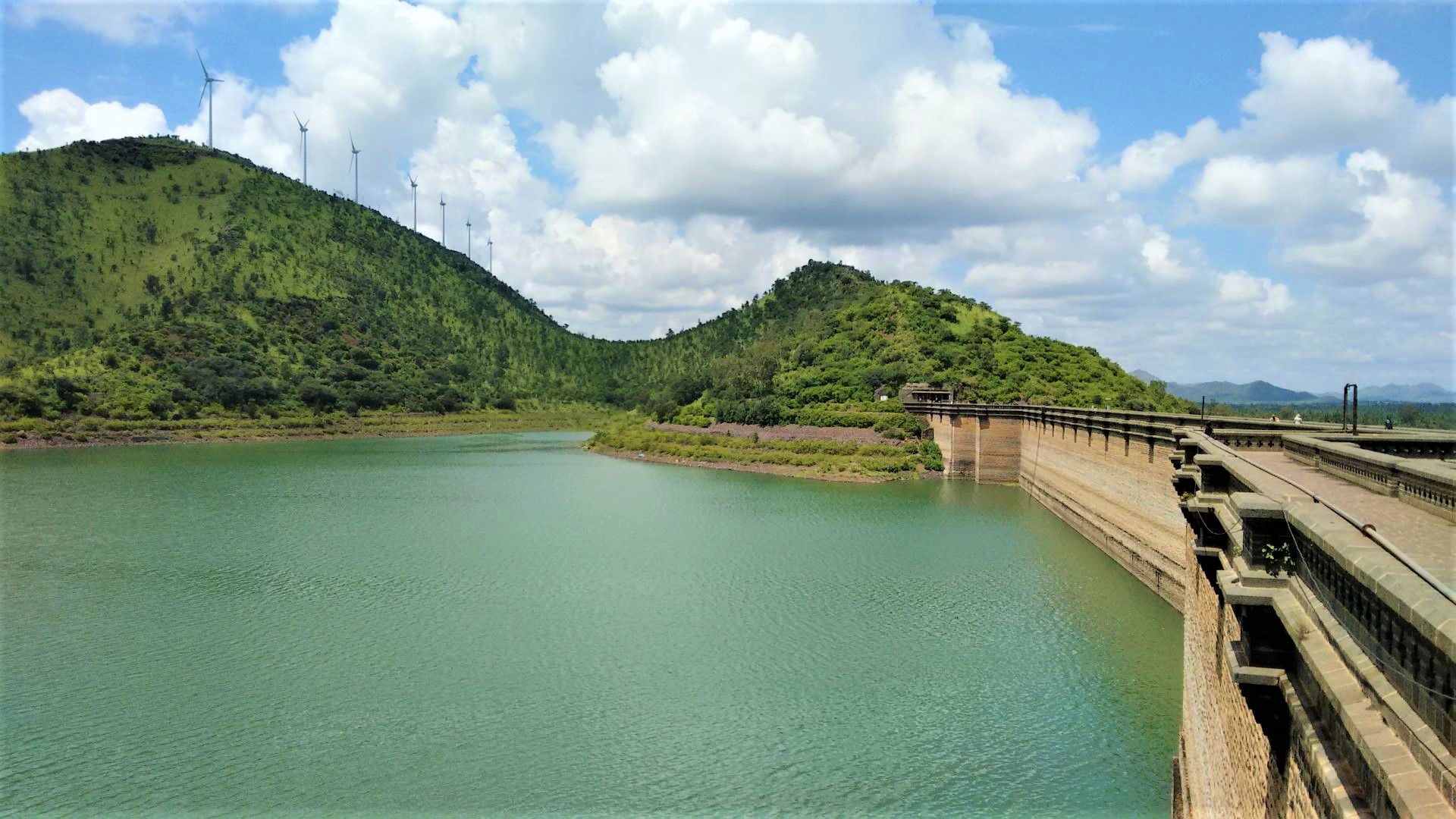 Dams are dividing the world’s fish habitats, and India is one of the most affected