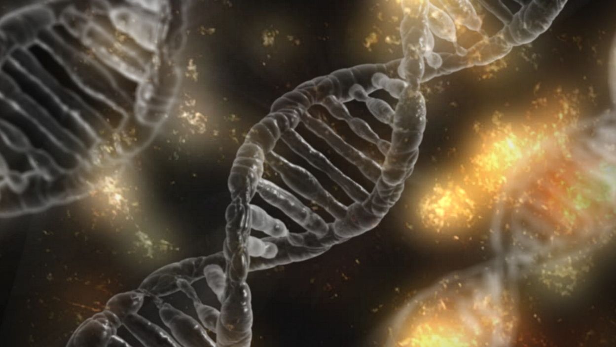 Diversity in our genes may hold the key to the spread of infections