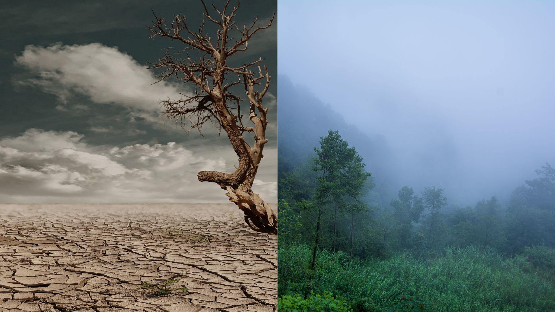 Why are droughts so hard to predict? IIT Pallakkad study explores why