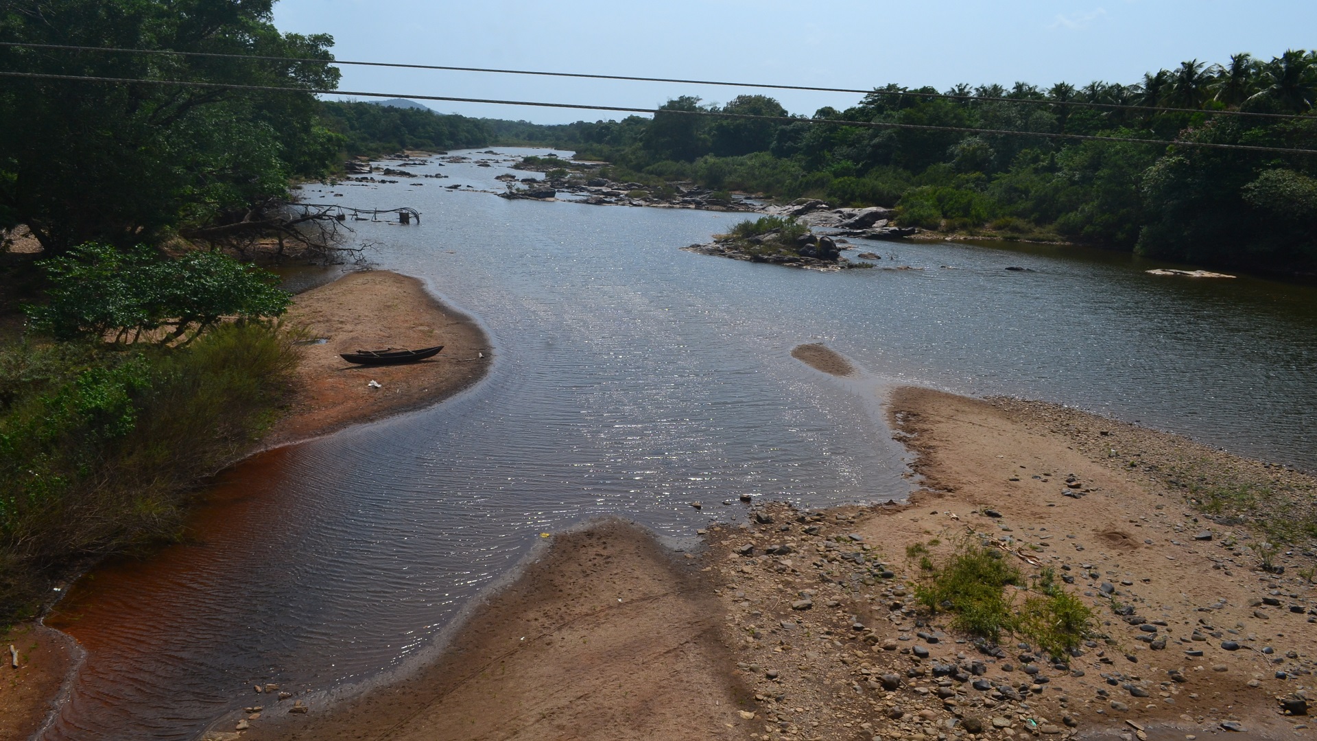 Shelled single-celled organisms and carbon capture in coasts of Alleppy