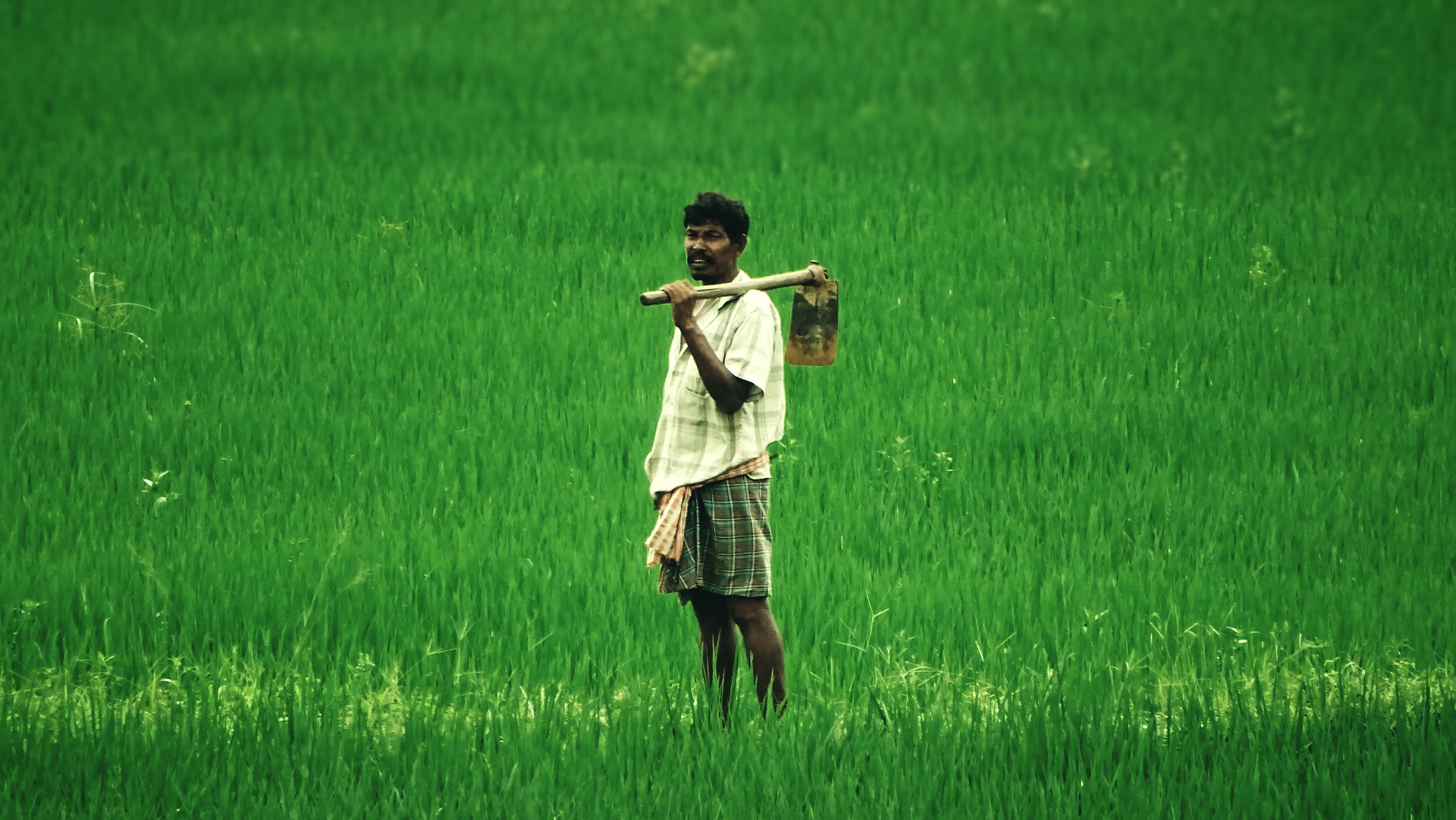 Caste discrimination hinders access to information among farmers, finds study