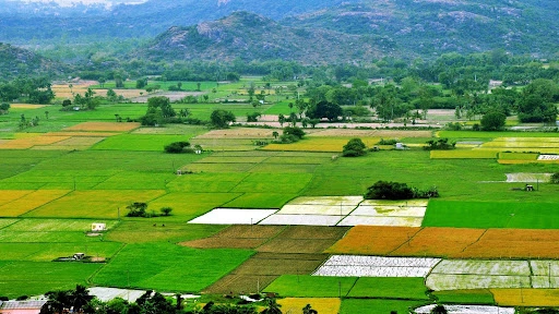 छोटे खेत अधिक लाभदायक? गत 40 वर्षों में भारतीय कृषि में हुए परिवर्तनों पर एक अध्ययन