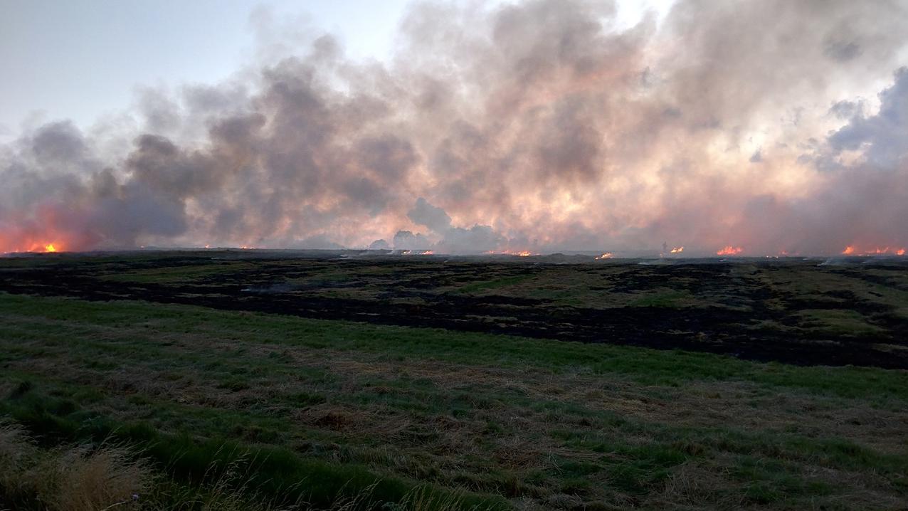 Stubble burning: USD 30 billion goes up in flames each year for India, says study