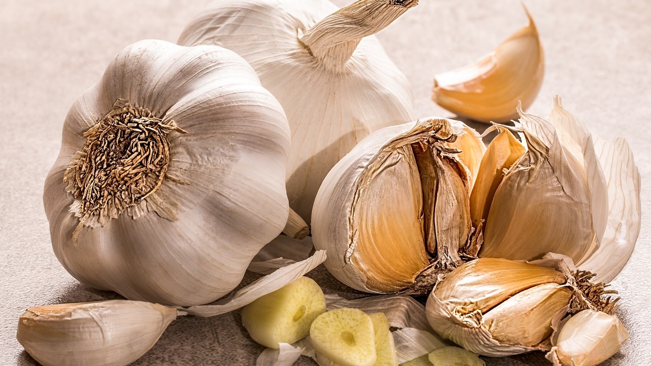 Aged garlic can protect your liver, show scientists