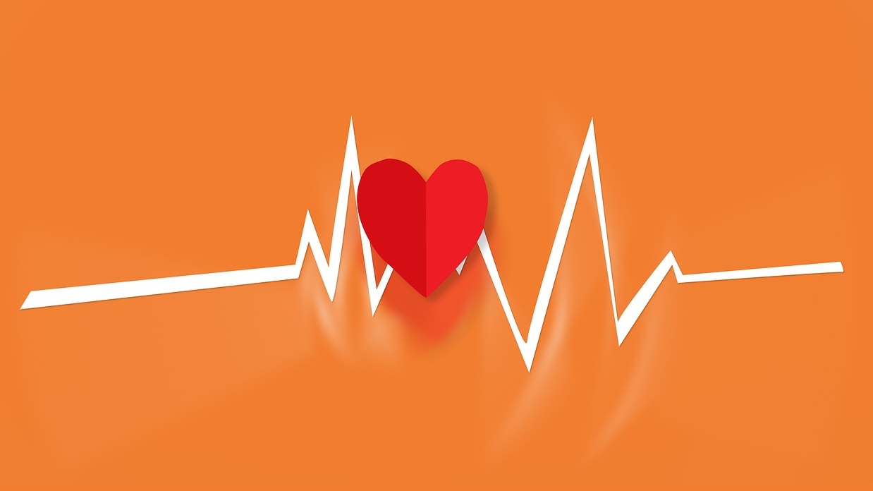 Developing cardiovascular disease risk programs in India