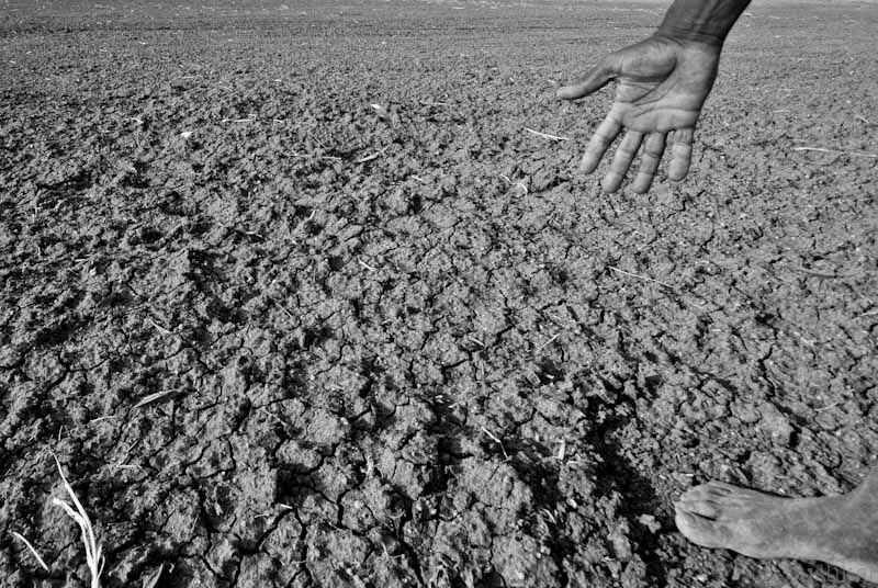 Rising heat and humidity around the globe will soon be intolerable for humans